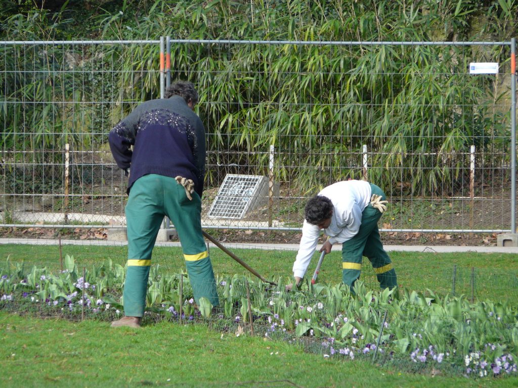 Mantenimiento de jardines para comunidades de vecinos